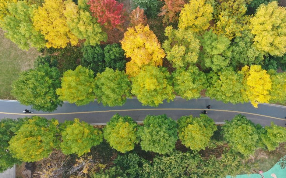 神州大地秋意濃